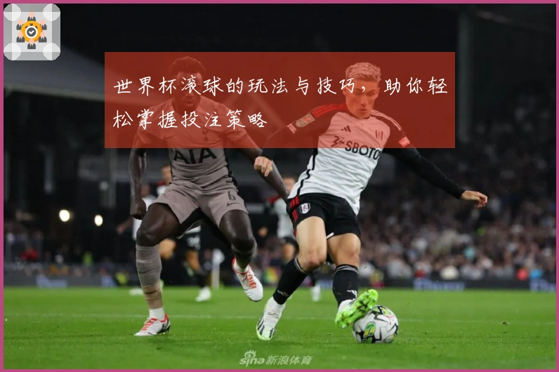 世界杯滚球的玩法与技巧，助你轻松掌握投注策略