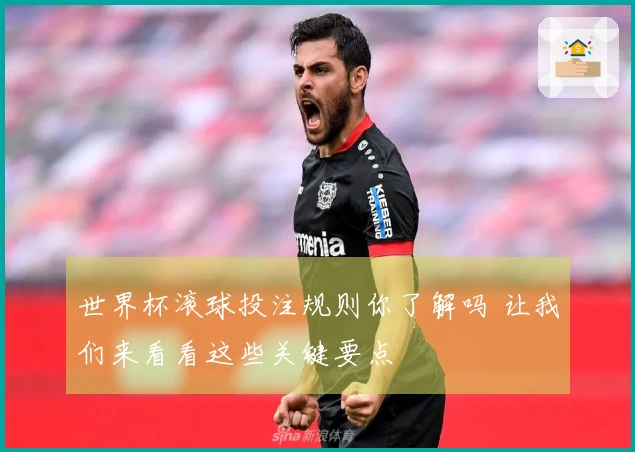 世界杯滚球投注规则你了解吗 让我们来看看这些关键要点