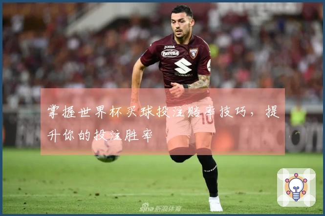 掌握世界杯买球投注赔率技巧，提升你的投注胜率