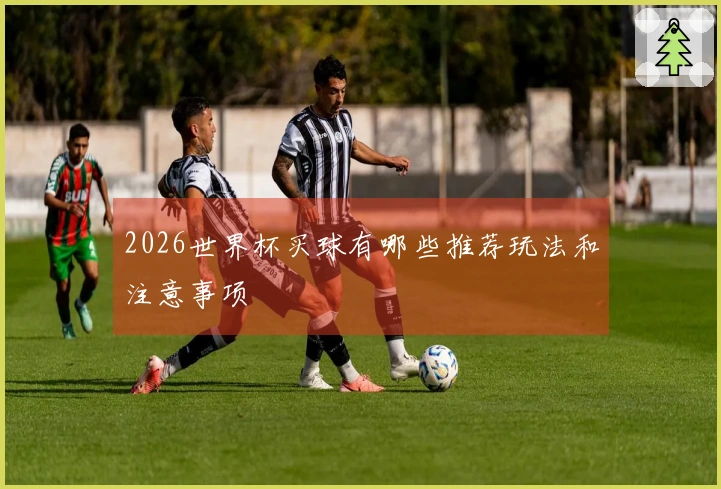 2026世界杯买球有哪些推荐玩法和注意事项
