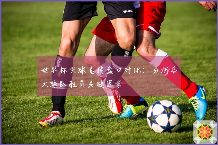 世界杯买球竞猜盘口对比：分析各大球队胜负关键因素