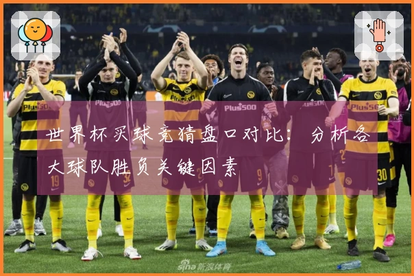 世界杯买球竞猜盘口对比：分析各大球队胜负关键因素