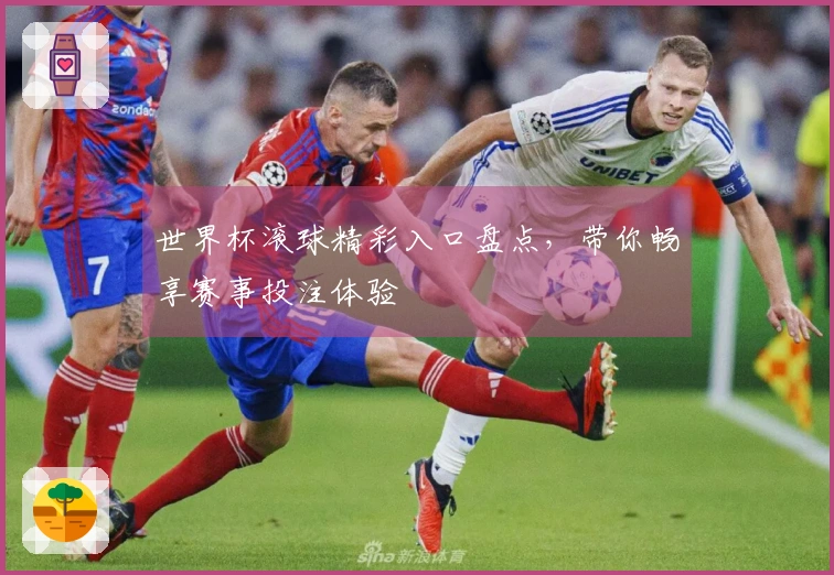世界杯滚球精彩入口盘点，带你畅享赛事投注体验