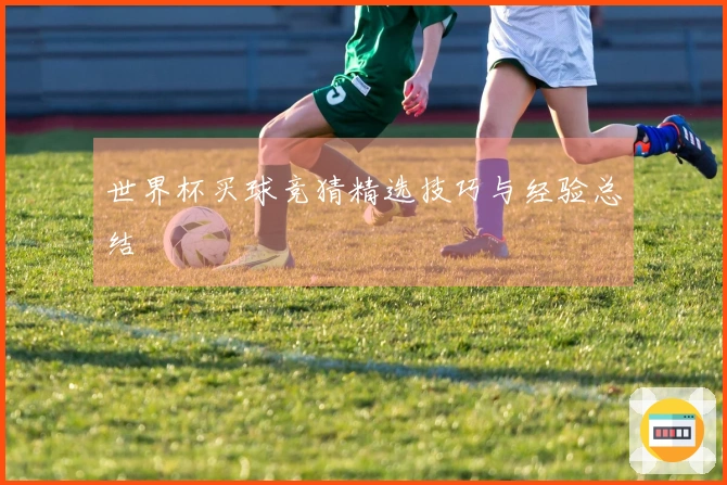 世界杯买球竞猜精选技巧与经验总结