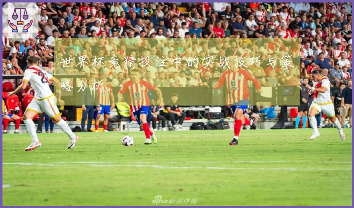 世界杯竞猜投注中的实战技巧与策略分析