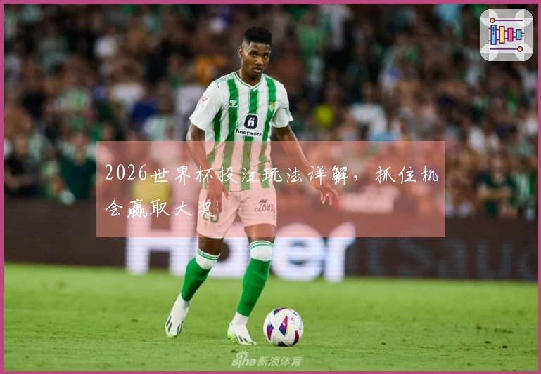 2026世界杯投注玩法详解，抓住机会赢取大奖