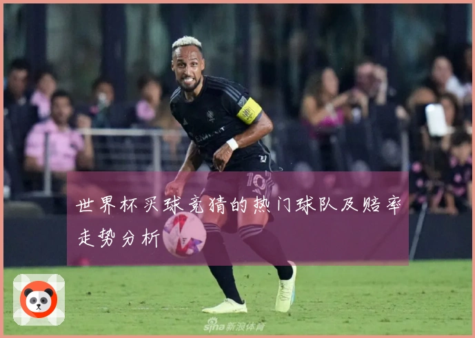 世界杯买球竞猜的热门球队及赔率走势分析