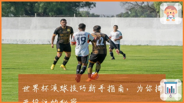 世界杯滚球技巧新手指南，为你揭开投注的秘密