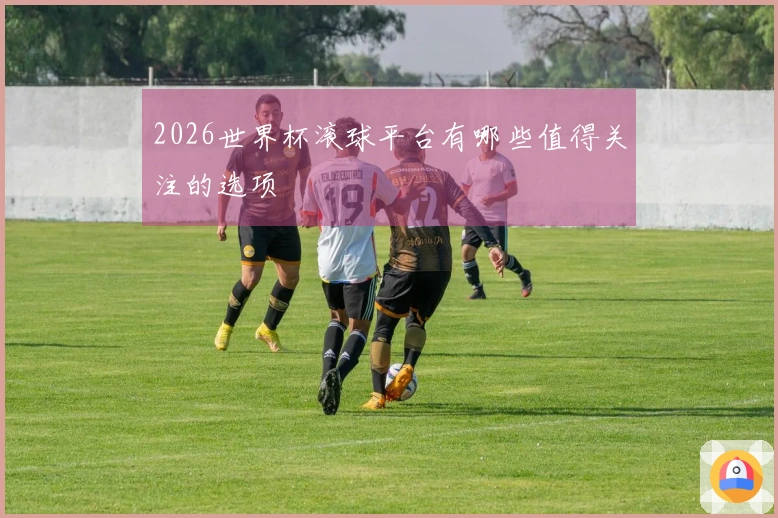2026世界杯滚球平台有哪些值得关注的选项